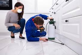 Reliable Burlington, WI Pest Control Solutions